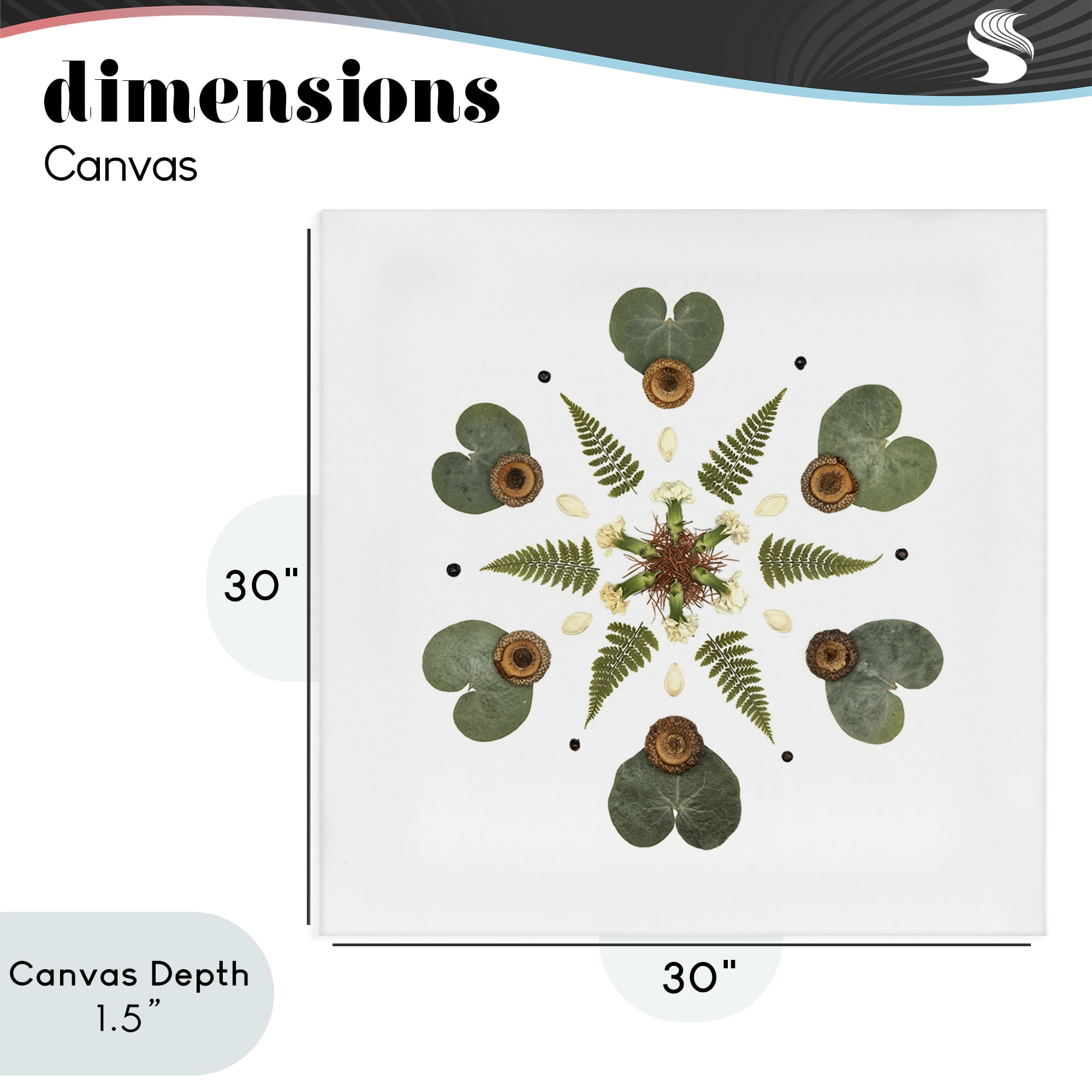 Stupell Industries Lily Pad & Fern Mandala Canvas Wall Art, design by Beth Adoette