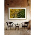 thumbnail image 5 of Marmont Hill "Dense Growth" By Karolis Janulis Framed Painting Art Print, 24.0" x 1.5", 5 of 5