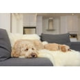 thumbnail image 2 of H-Natural New Zealand Sheepskin Rug, 2 of 9