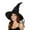 S-black-zhili, variant on Witch Hat Adult Halloween Costume Accessories with Sparkling Tulle (1)