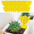 thumbnail image 2 of Innens 12/24pcs Yellow Gnat Sticky Traps Flying Bugs Dual-Sided Sticky Trap Pest Killer, 2 of 11