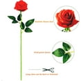 thumbnail image 4 of Zukuco 10 PCS Artificial Rose Flower Silk Roses Bouquet with Long Stem Fake for DIY Wedding Party Home Halloween Christmas Decoration (Red), 4 of 7