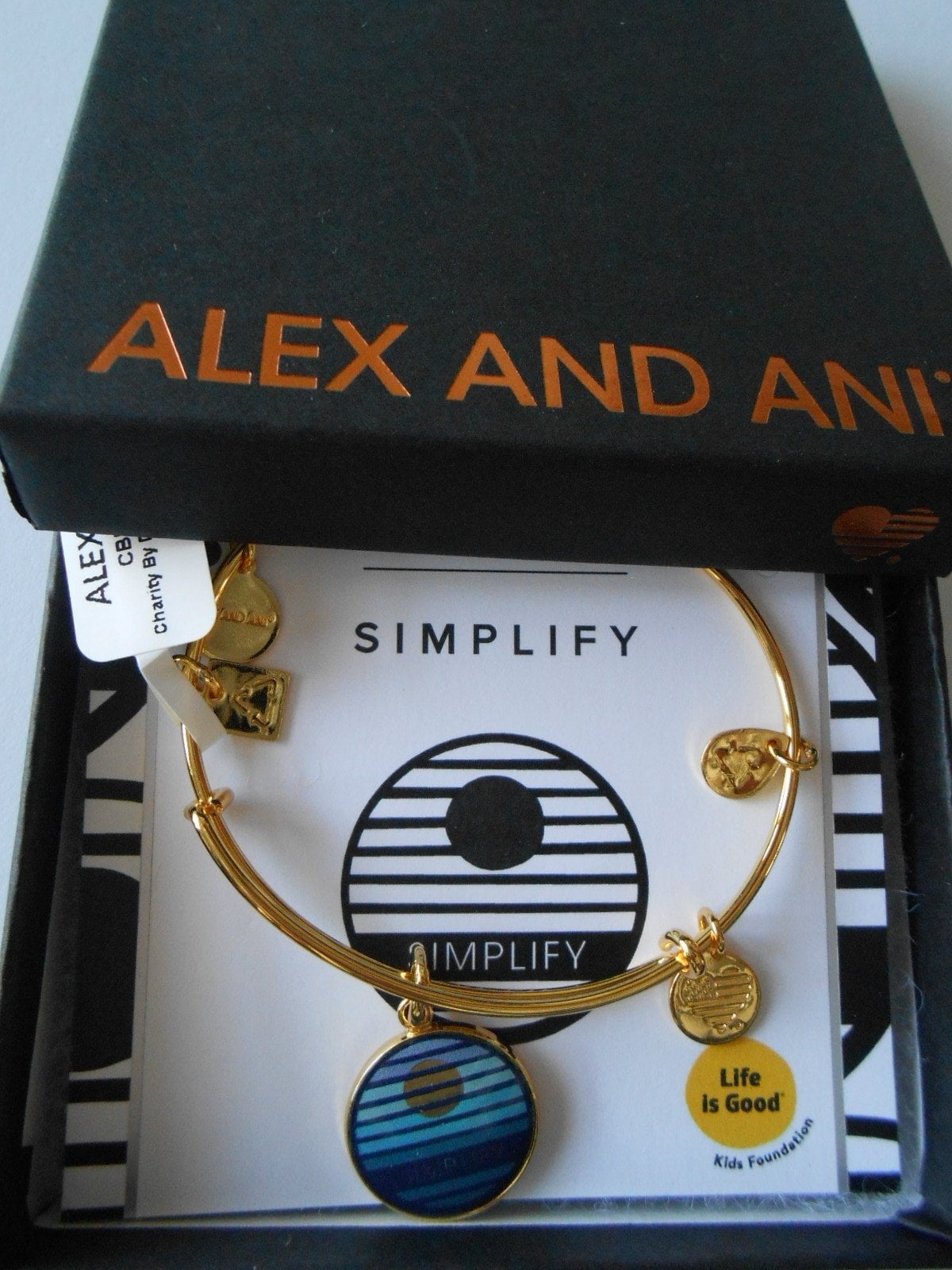 Alex and Ani Women's Charity By Design Simplify Bangle Gold-Tone One Size
