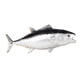thumbnail image 5 of 2 Figuras De Peces De Juguete Para Niños Y Niñas De 3 Años En Adelante, Decoraciones De Paisajes De Acuario De Simulación, 5 of 10