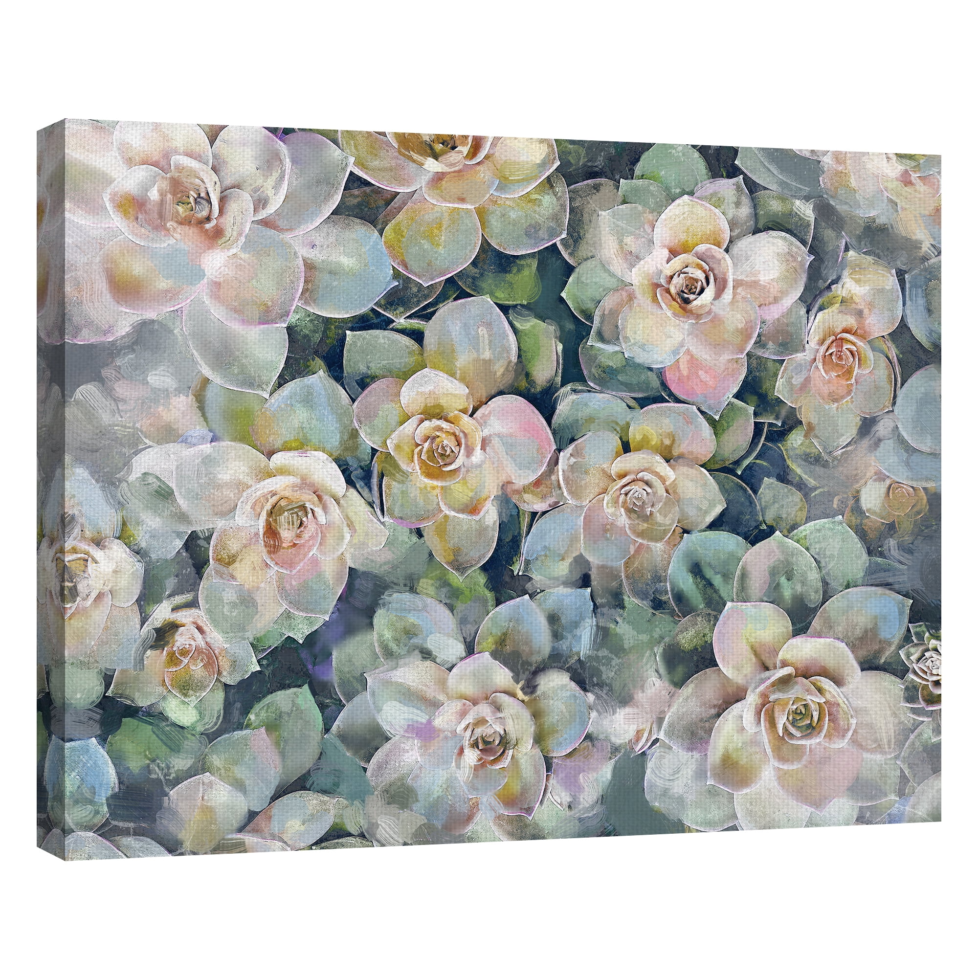 Fine Art Canvas Oasis Succulent Garden by Studio Arts Canvas Art Print