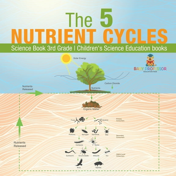 The 5 Nutrient Cycles - Science Book 3rd Grade Children's Science Education books, (Paperback)