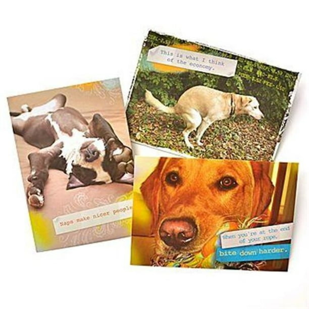 Gartner Studios Dog  Humor Greeting Cards 3 count 