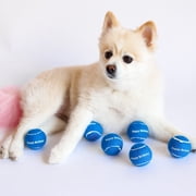 Midlee 12-Piece Happy Birthday Tennis Balls Dog Toys, Blue, Small