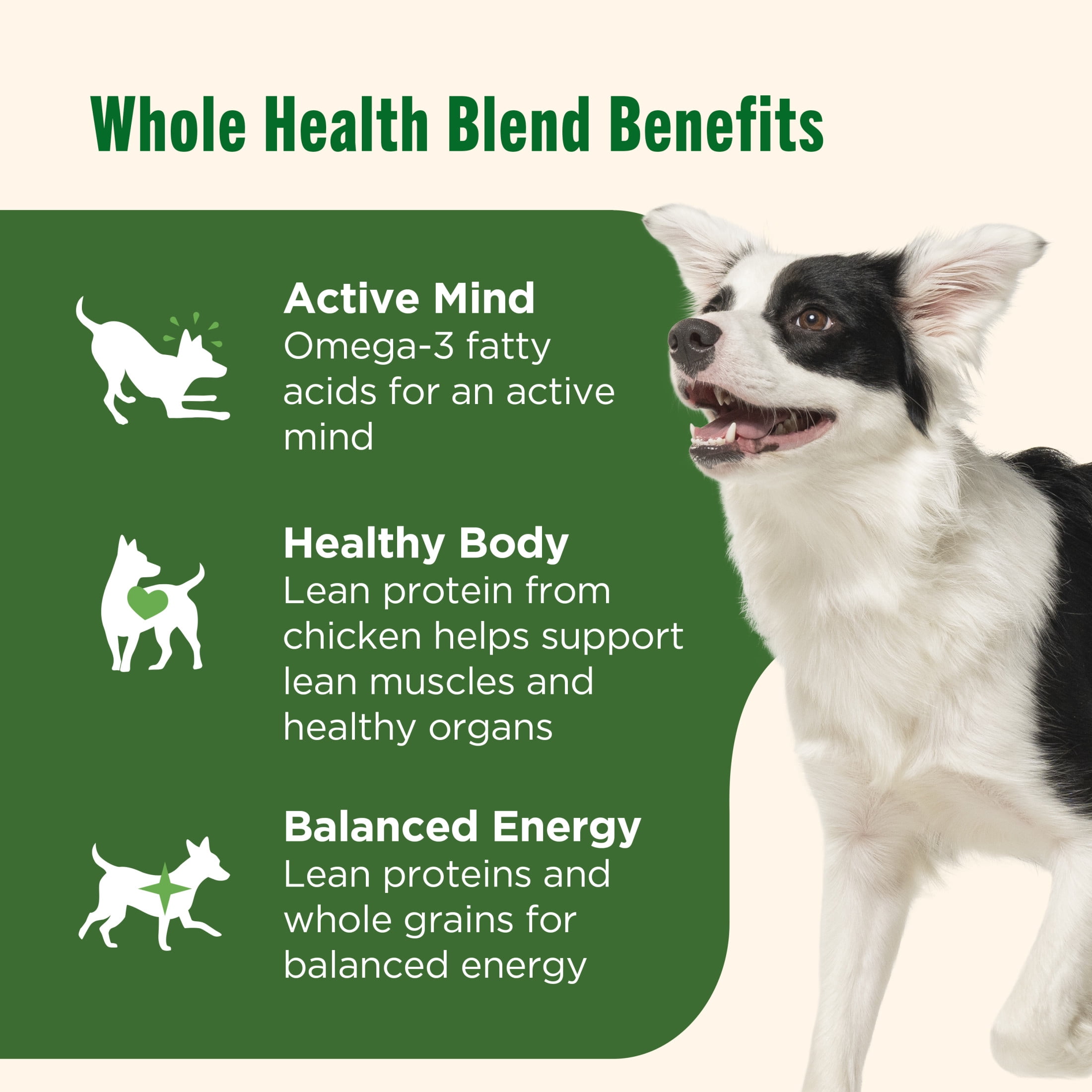 Nutrish Real Chicken & Veggies Recipe Whole Health Blend Chunks in Gravy Wet Dog Food, 13 oz. Can, 12 Count (Rachael Ray)