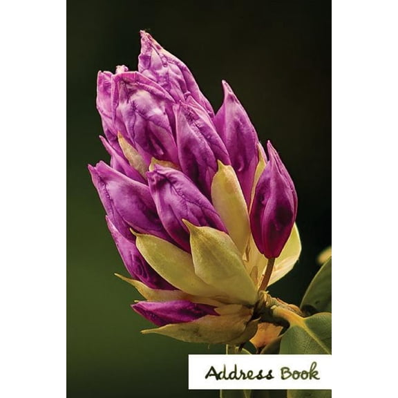 Address Book Flower Edition.: Address Book. : Glossy And Soft Cover, Large Print, Font, 6" x 9" For Contacts, Addresses, Phone Numbers, Emails, Birthday And More. (Paperback)