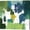 Green, variant on Metaverse C949311-0120000-AAAACMA Block Paint I Green by Posters International Studio Canvas Wall Art - 12 x 12 in.