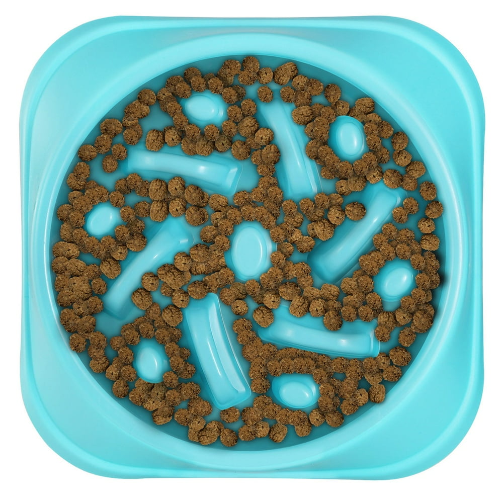 10-best-dog-food-plates-to-keep-your-furry-friend-happy-and-healthy