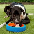 thumbnail image 4 of Juguete para perros Chuckit! Fetch Wheel Outdoor para razas pequeñas, 4 of 8