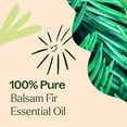 thumbnail image 5 of Plant Therapy Balsam Fir Essential Oil 100 mL (3.3 oz) 100% Pure, Undiluted, Natural Aromatherapy, 5 of 8