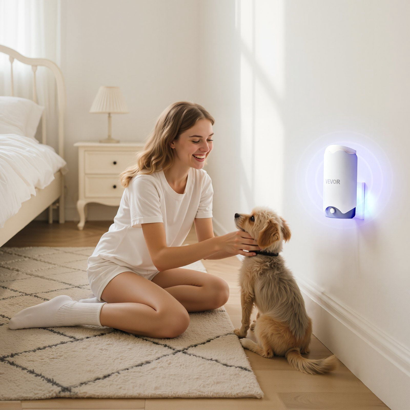 Dual-Mode Gnat Killer: Blue Light Zapper & Sticky Glue Board - Fly, Moth, Mosquito Trap for Indoor Use