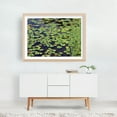 thumbnail image 5 of Lili pad Lake - Photography Nature Lake Water Botanical Scenic Garden Summer Oak Framed Wall Art Print 12 x 18 inches, 5 of 6