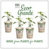4-Pack, 4.25 in. Eco+Grande, Mucho Nacho Jalepeno Live Plant Vegetable