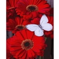 thumbnail image 3 of Pintura al óleo de flores pintadas a mano para niños y adultos, 3 of 5