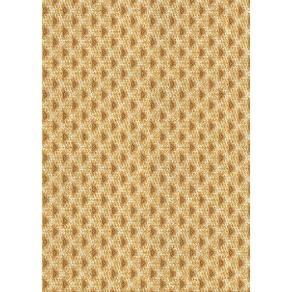 Ahgly Company Indoor Rectangle Patterned Carrot Orange Area Rugs, 5' x 7'