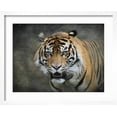 thumbnail image 2 of Art.com Bengal Tiger Giclee Print by Jai Johnson, White Frame Wall Art, 21" x 17", 2 of 4