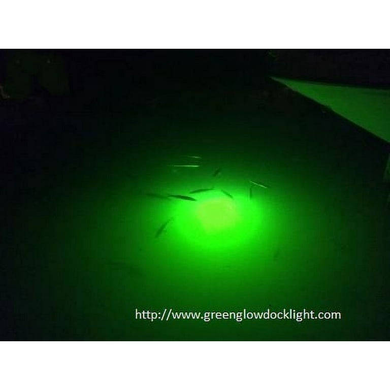 Portable Underwater Fishing Light, LED 100 Watt, 10,368 Lumen, Green Underwater Fishing Light, Night Fishing Light, Men's, Size: One Size