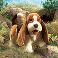 thumbnail image 4 of Folkmanis Puppet Basset Hound Puppet, Ages 12+, Soft Plush, Cuddle Toy, Multicolor, 4 of 7