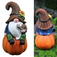 thumbnail image 4 of 1pcs Fairy Garden Accessories Decorations, Miniature Gardening Gnome Figurines, Mini Resin Gnome Suits, Miniature Landscape Gnome Figurines Ornaments Bonsai Plant Flowerpot Decorations, 4 of 6