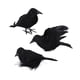 thumbnail image 2 of Cuervos de Halloween Macarena Cuervos decorativos con plumas negras Estilo C, 2 of 8
