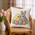 thumbnail image 5 of ddioayh Easter Theme Printed Cushion Covers Soft Breathable Fabric High Definition Printing 45x45cm with Concealed Zipper for Home Decor Sofa Bedroom Office Holiday Gift, 5 of 5