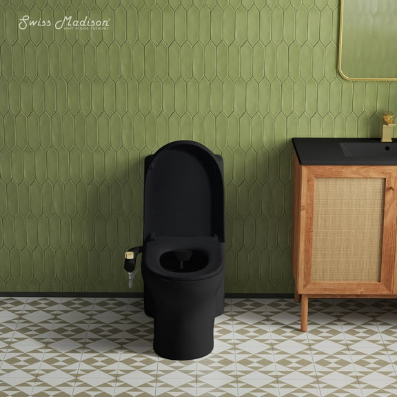 Aqua Non-Electric Bidet Toilet Attachment in Glossy Black with Polished Gold Hardware