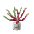 thumbnail image 4 of Gift Micro Landscape Party Supplies Livingroom Office Hotel Plant Wall Lifelike Cactus Artificial Succulent Home Decoration RED, 4 of 8