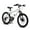 White, variant on Ecarpat Boys Kids' 20" Steel Mountain Bike, White/Black