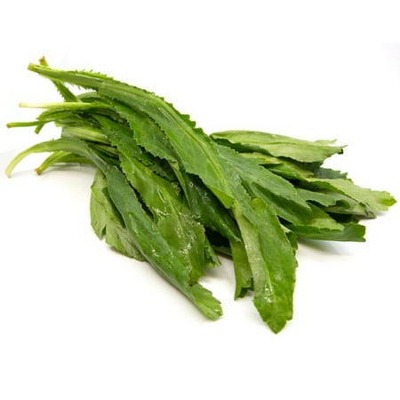 Fresh Culantro (Recao), Bunch Bag