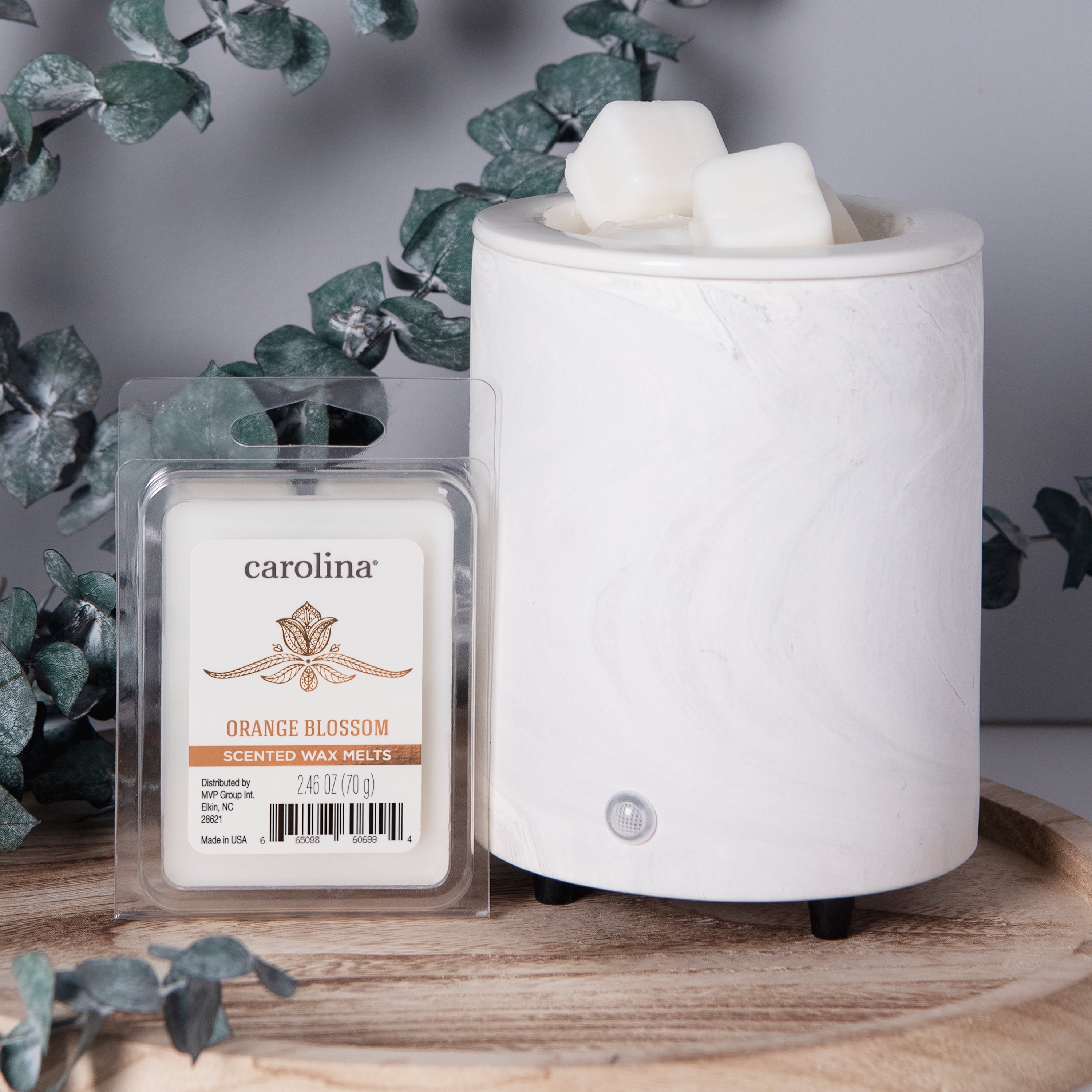 Velavida Candle Eucalyptus Scented Wax Melts – Velalume