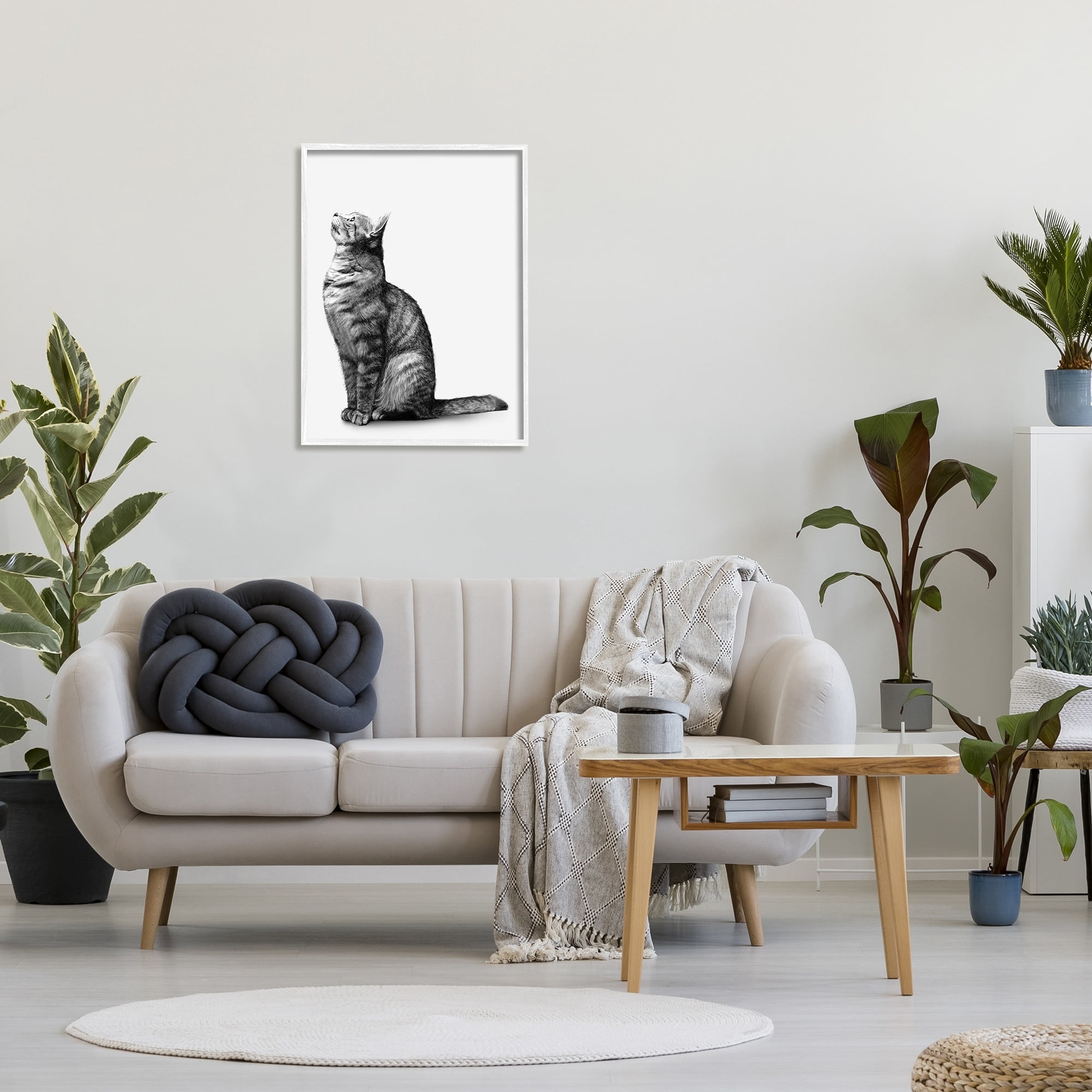 Stupell Industries Manx Cat Sitting Calmly Detailed Casual Portrait Graphic Art White Framed Art Print Wall Art, Design by Ziwei Li