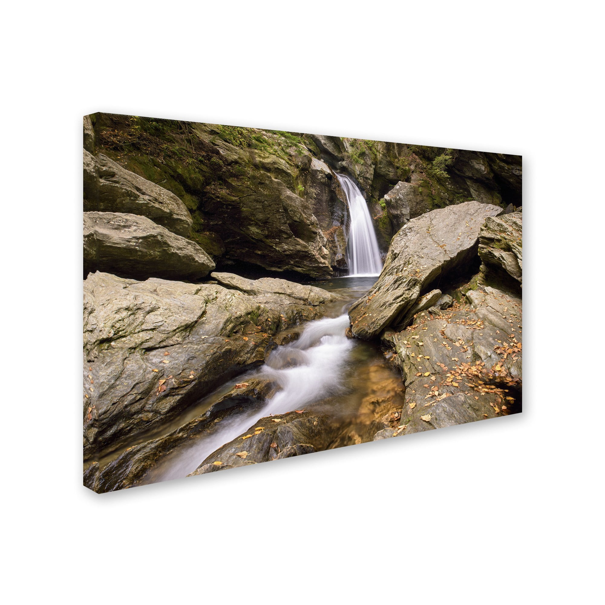 Trademark Fine Art 'Over and Under' Canvas Art by Michael Blanchette Photography