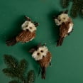 thumbnail image 2 of Northlight 3ct Owl Sisal Christmas Ornament Set 3.75" - Brown, 2 of 5