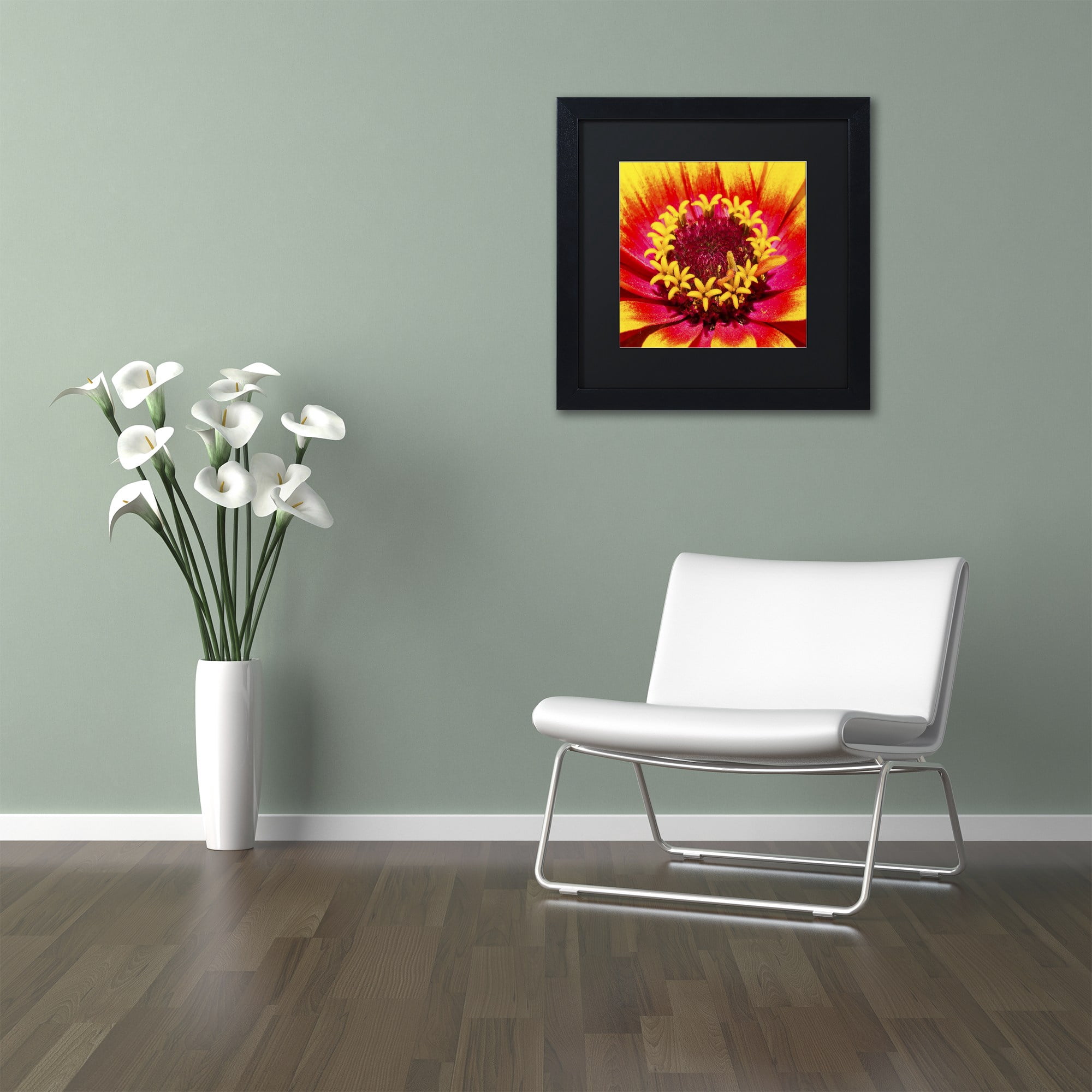 Trademark Fine Art "Floral Mass Coronal Ejection" Canvas Art by Kurt Shaffer, Black Matte, Black Frame