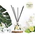 thumbnail image 3 of PRISTINE Himalayan Tea/Inspired by Westin Hotel Reed Diffuser for Home | Fresh Bergamot/White Tea Room Fragrance Reed Diffusers, Oil & Room Diffusers with Reed | Home Fragrance Scent Diffuser, 3 of 8