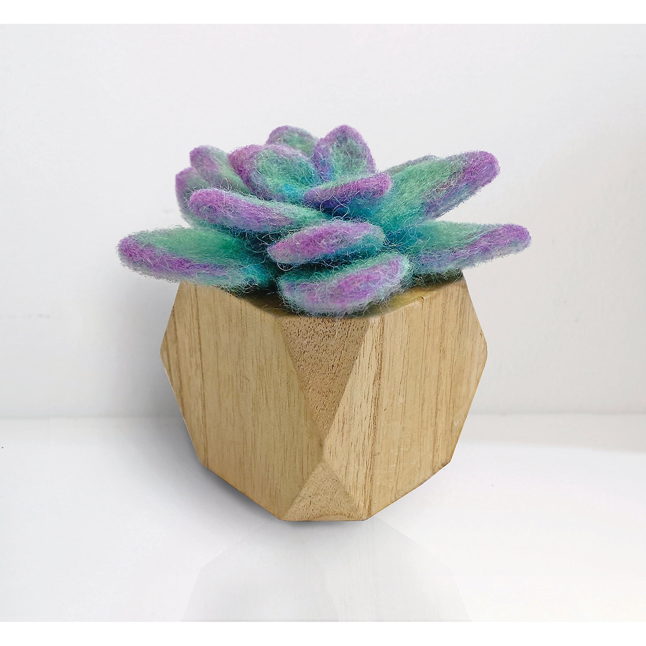 Hillfolk Needle Felted Succulent Kit with Wool Roving, Needle, Foam Block, and Pot