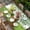 White, variant on Green St. Patrick's Day Table Cloths for 3 Foot Rectangle Tables, Green Lucky Clovers Dog Patio Waterproof Elastic Fitted Tablecloths, Washable Rectangular Table Cover for Camping