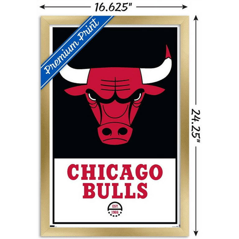 CHICAGO BULLS ステッカー Amazon.com : Chicago Bulls 4.5
