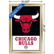 NBA Chicago Bulls - Logo 21 Wall Poster, 14.725 x 22.375, Framed