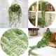 thumbnail image 2 of Lágrimas colgantes Suculentas Amante de la pared Plástico Enredaderas Cuentas Flores verdes Hogar, 2 of 8