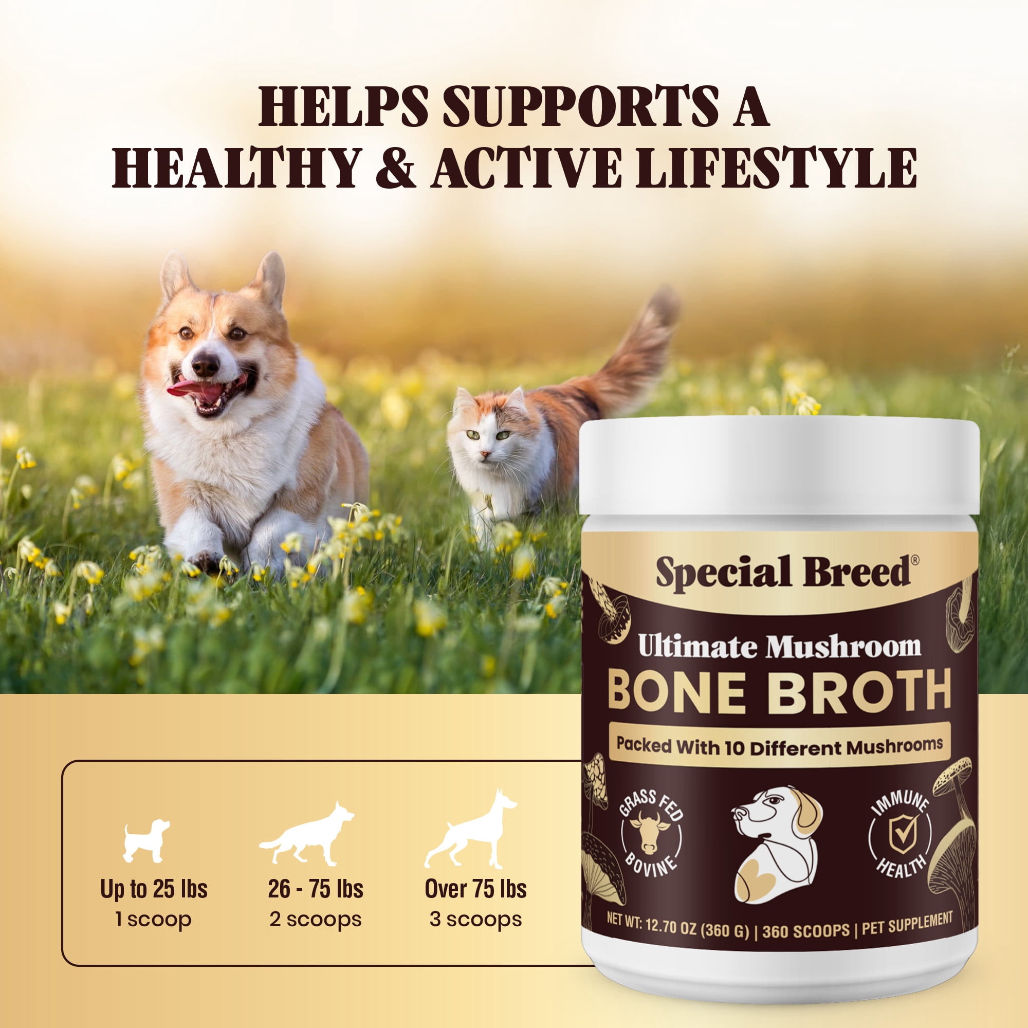 Beef Bone Broth for Dogs - High Protein Powder with Ten Organic Mushrooms & Collagen - Immune, Joint, Digestion & Cognitive Support - Tasty Dog Food Topper - Natural Hydration Booster