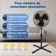 thumbnail image 2 of Aigostar Ventilador de Pedestal 16", Silencioso, 3 Aspas, 3 Velocidades, Oscilación de 90°, Altura Ajustable, Cabezal Inclinable, Color Negro, Ideal para Dormitorio, Sala y Oficina, 2 of 7