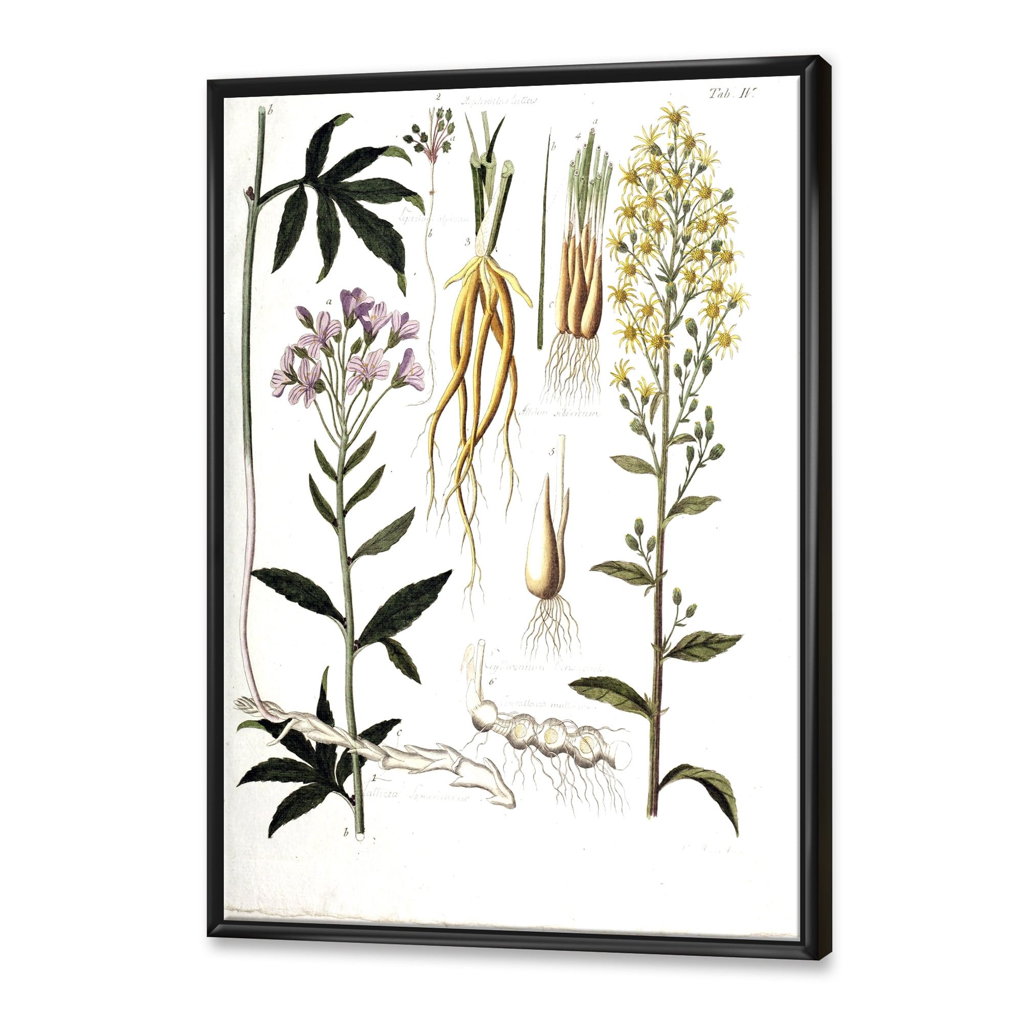 Designart 'Ancient Plant Life VIII' Farmhouse Framed Canvas Wall Art Print