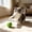 R, variant on Interactive Cat Toy Ball, Automatic Smart Rolling Cat Ball, USB Rechargeable Motion Activated Cat Toy for Indoor Cats, boredom relief Yellow