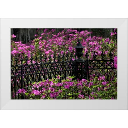 Jones, Adam 14x11 White Modern Wood Framed Museum Art Print Titled - Iron fence and azaleas in full bloom-Bonaventure Cemetery-Savannah-Georgia