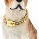 thumbnail image 5 of Collar De Cadena De Perro Dorado, Cadena De Metal Para Camin, 5 of 6